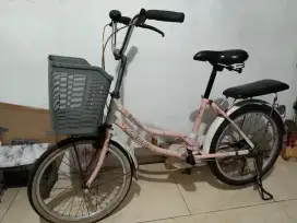 Sepeda mini 20 keranjang