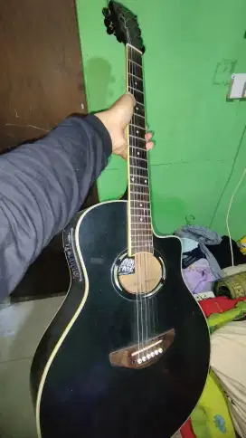 Gitar apx600 elektrik akustik