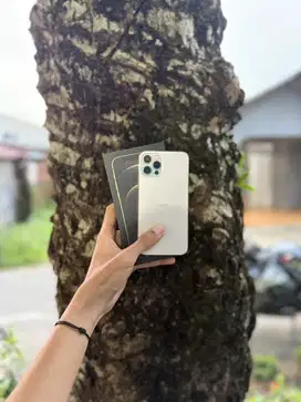 Iphone 12 Pro 128 beacukai resmi