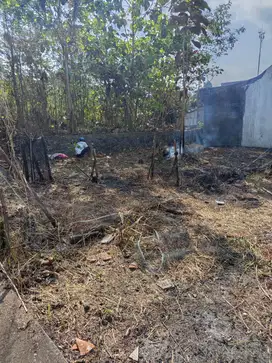 Tanah pekarangan