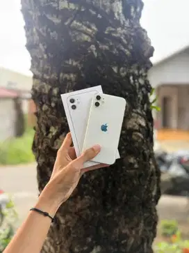 iphone 11 128 beacukai