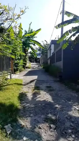 Buc tanah cantik 176m2 itr kuning siulan penatih denpasar timur