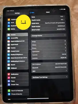 Ipad pro m2 4th generation