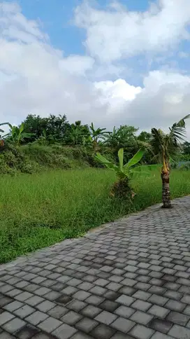 Dijual Tanah di Daerah Tabanan Bali