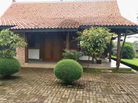 Rumah Joglo di Kawasan Asri yang Superstrategis Lengkap Furniture Jati