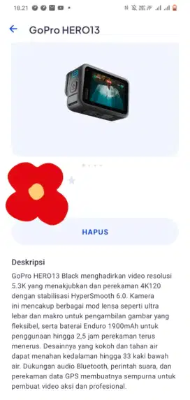 Jual go pro hero 13 black