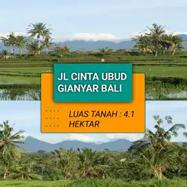 Termurah!! Jl cinta ubud bali 4.1 hektar tanah di jual