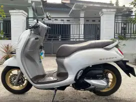 Scoopy Prestige