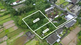 Land for Sale in Luwus Baturiti, Bedugul Tabanan, Bali