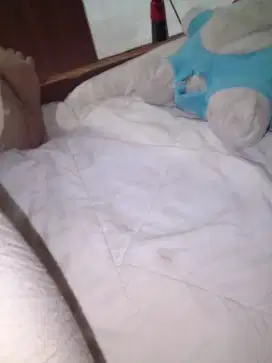 Nyari kerja yang pasti