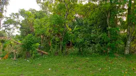 Di tanah pergudangan kavling DPR Cipondoh Tangerang