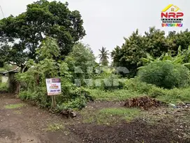 Tanah Luas Dijual Murah di Perum GGM Banyuwangi