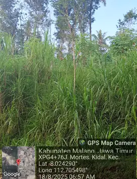 Tanah Murah Depan Candi Kidal Malang