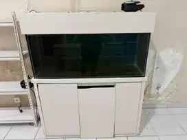 Aquarium arwana