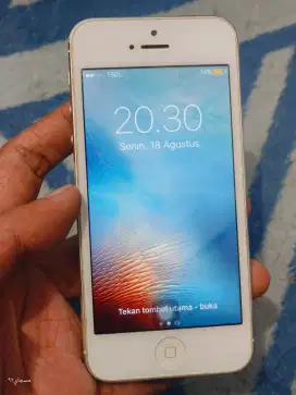 Apple Iphone 5 White Silver