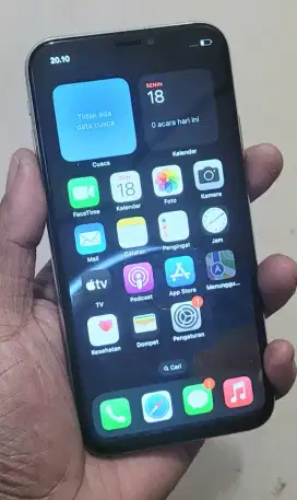 Iphone x 256gb hp charger