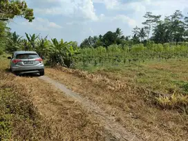 turun harga jual tanah luas 557m2 dibarat jl palagan km 15 view sawah
