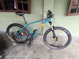 Polygon Xtrada 6 Size M
