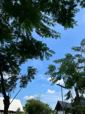 Pengasuh Anak dan ART