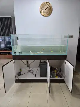 AQUARIUM VIVARIA