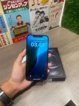 iPhone 12 proo max