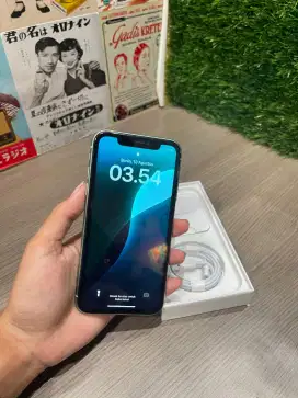 iPhone 11 purple