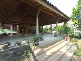 Rumah Homy Estetik Dengan Pendopo Apik