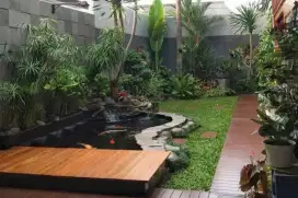 Jasa kolam koi dan taman