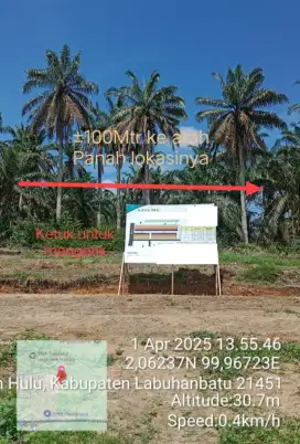 Tanah Sawit Produktif. Cocok untuk Kavling Perumahan. SHM