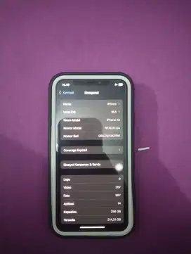 Iphone xs 256gb