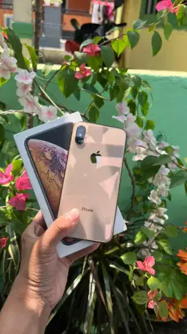 iPhone Xs 256 inter regist