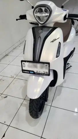 Grand Filano lux 2024