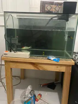 jual aquarium 60x35x35 kaca full 8mm