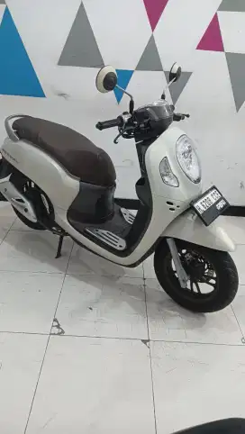 Honda New Scoopy Prestige 2024 Albino