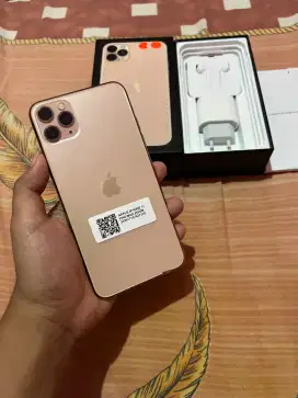 Iphone 11 Pro Max 256Gb Inter