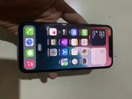 iPhone Xs 256Gb Ex inter