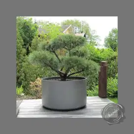 PABRIK POT TERRAZZO
