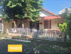 RUMAH AREA KOS KOS AN DI JL PLEBURAN RAYA SEMARANG 1908