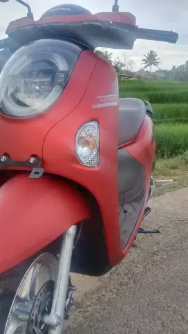 scoopy terbaru hemat +-5jt
