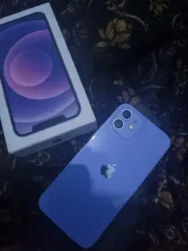 Iphone 12 purple