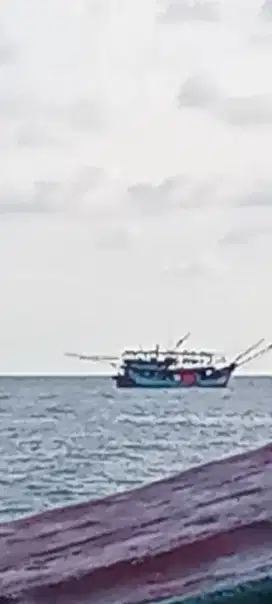 Butuh abk kapal cumi