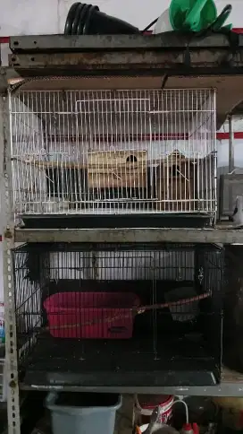 Kandang kotak burung