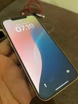 Iphone 12 promax 128 gold all operator terdaftar beacukai