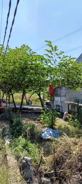 jual tanah kavling kedamean,tempatnya tenang,cocok buat rehat