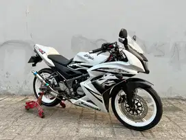Kawasaki Ninja RR New Albino 2013