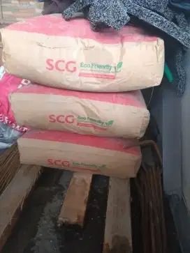 Semen Hitam SCG