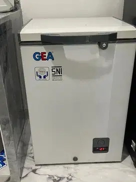 Freezer GEA 100.lt