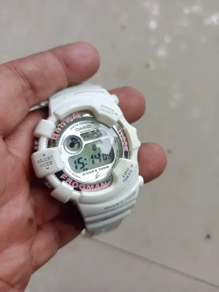 Babyg frogman wccs