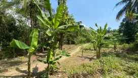 Di jual tanah pekarangan luas 508m