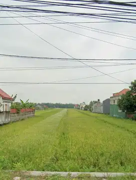 JUAL CEPAT SAWAH